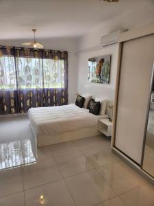 馬羅尼河畔聖羅蘭的住宿－Hello-Guyane, Marina 6, Suite Prestige 5 étoiles，一间卧室设有一张床和一个大窗户