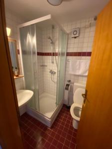 ein Bad mit einer Dusche, einem WC und einem Waschbecken in der Unterkunft Encijan Apartments in Log pod Mangartom