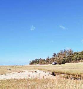 a field with a house in the middle of a field at Knaldhytten in Blåvand