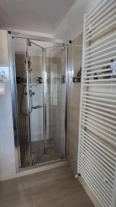 y baño con ducha y puerta de cristal. en Casa Albinuța en Călimăneşti