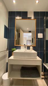bagno con lavandino e specchio di Joli Appartement 27m2 Oasis Provençale en village vacances en Camargue a Arles