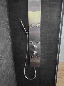 une douche avec un tuyau dans une cabine de douche dans l'établissement Maison chaleureuse Proche de Gerardmer, à Épinal