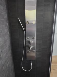 a shower with a hose in a shower stall at Maison chaleureuse Proche de Gerardmer in Épinal +12 photos