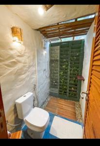 baño con aseo y ducha con ventana en Pousada Estrela Peroba, en Icapuí