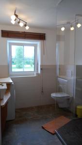 a bathroom with a toilet and a window at Ferienhaus Damberg in Übersee +21 photos