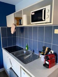 Kuchyňa alebo kuchynka v ubytovaní Joli studio Camargue Petit Rhône Arles