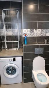 ein Badezimmer mit einem WC und einer Waschmaschine in der Unterkunft Villa neuve entre Lac & Montagne in Thonon-les-Bains