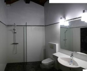 uma casa de banho com um chuveiro, um WC e um lavatório. em Etxetxobarri, caserío independiente con vistas a la crestería de Anboto 
