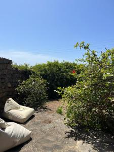 A garden outside Agricola Pineda