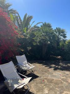 A garden outside Agricola Pineda