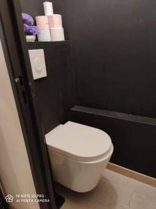 La salle de bains est pourvue de toilettes blanches dans un mur noir. dans l'établissement Appartement charmant et calme en bord de Loire., à Nantes