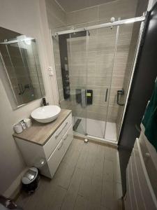 La salle de bains est pourvue d'un lavabo et d'une douche en verre. dans l'établissement Appartement charmant et calme en bord de Loire., à Nantes