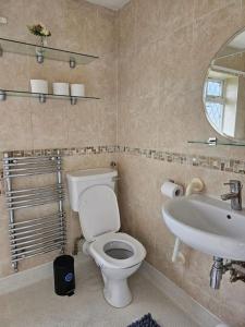 a bathroom with a toilet and a sink at Warm Contractor-Friendly Home in Luton