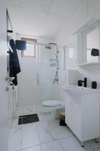 uma casa de banho com um chuveiro, um WC e um lavatório. em Terra Apartments em Vrnjačka Banja