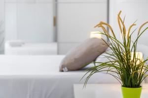 Łóżko lub łóżka w pokoju w obiekcie MEDANO4YOU White Dream Penthouse