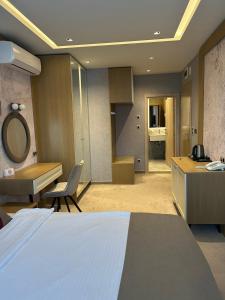 una camera d'albergo con letto, scrivania e lavandino di City Park Inn - Art Gallery a Plovdiv