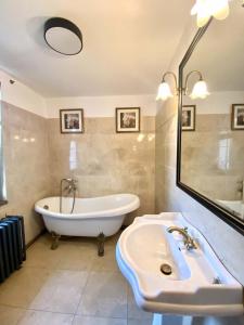 een badkamer met een bad, een wastafel en een bad bij Apartment Holín in Holín