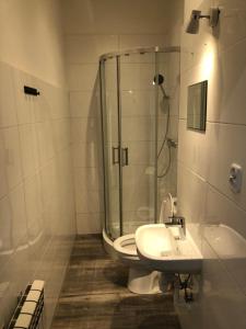 een badkamer met een douche, een toilet en een wastafel bij Wąsik in Krakau