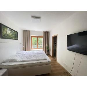 a bedroom with a bed and a flat screen tv at Lipno Port Apartment C101 in Lipno nad Vltavou