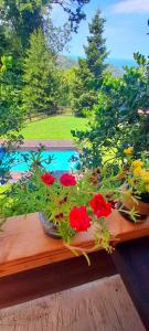 a window sill with flowers and a swimming pool at Golden Mountain in Anilio Pelion