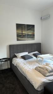 Gambar di galeri bagi Vulkan LUX apartments di Zemun