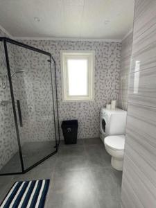 a bathroom with a toilet and a shower and a window at Ödeshög Modernt och stilfullt B&B in Ödeshög
