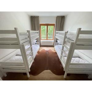 a room with four bunk beds and a window at Lipno Port Apartment C101 in Lipno nad Vltavou