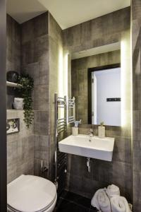 een badkamer met een wastafel, een toilet en een spiegel bij Cosy Ensuite Bedrooms at Aspen House in Dublin in Dublin