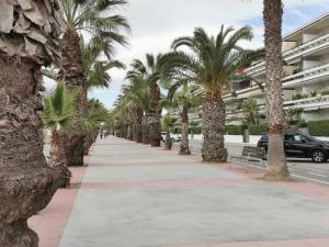 a sidewalk lined with palm trees in front of a building at Adosada con piscina comunitaria ideal familias in Barcelona