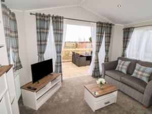 uma sala de estar com um sofá e uma televisão de ecrã plano em Buttercup Lodge em Saltburn-by-the-Sea