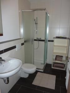 a bathroom with a shower and a toilet and a sink at Ferienwohnung Willner in Kastl