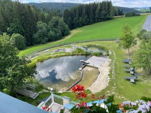 Paesaggio naturale nelle vicinanze dell'affittacamere