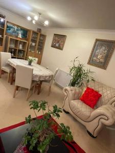 un salon avec des canapés et une table avec des plantes dans l'établissement Cozy Homestay, à Croydon