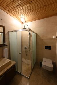 a bathroom with a shower and a toilet in it at Aden Hotel Cappadocia in Uchisar