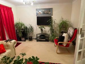 a living room filled with lots of potted plants at Cozy Homestay in Croydon