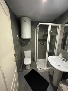 a bathroom with a shower and a toilet and a sink at Apartmento en el corazon de Malasaña in Madrid