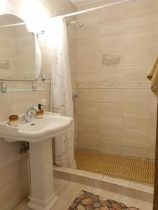 La salle de bains est pourvue d'un lavabo et d'une douche. dans l'établissement Deluxe Apartments in the city center with Balcony, à Pärnu