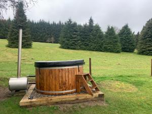 Kebun di luar Willow Lodge