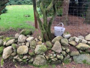 Kebun di luar Willow Lodge
