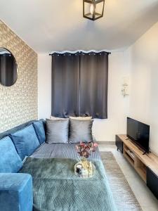 un salon avec un canapé bleu et une télévision dans l'établissement Appart Hyper Centre Tout Confort Wifi 4 Pers, à Romilly-sur-Seine