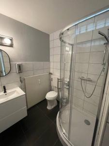 a bathroom with a shower and a toilet and a sink at Geräumiges City-Wohnen in Düren in Düren - Eifel