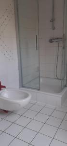 ein Badezimmer mit Dusche, Toilette und Waschbecken in der Unterkunft Ferienwohnung mit Moselblick in Piesport + 20 Fotos