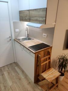 a small kitchen with a sink and a counter top at Petrovaradin 11 in Petrovaradin