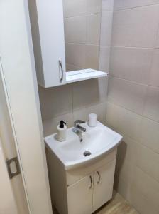ein Bad mit einem Waschbecken und einem Spiegel in der Unterkunft Petrovaradin 11 in Petrovaradin