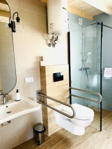 a bathroom with a toilet and a sink at Osada Chmiel in Chmielno