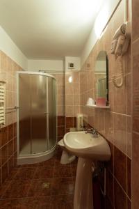 a bathroom with a shower and a sink at Pensiunea Casa Porojan in Baile Unu Mai