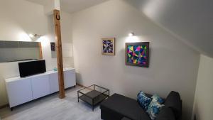 尤尔马拉Beachfront Art Gallery Mansard One Bedroom Suite in Historic Bath-House的客厅里有一张沙发和一台电视