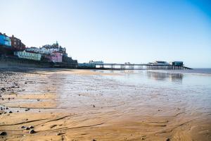 a view of a beach with a pier in the background at Pebble Cottage, Cromer in Cromer