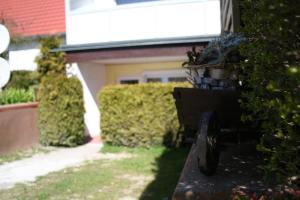 Zahrada ubytování Haus Stricker