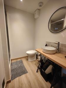 een badkamer met een wastafel, een spiegel en een toilet bij Chambres d'hôtes - Les Varennes in Saint-Georges-de-Reneins